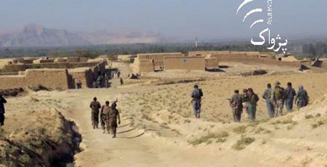 Taliban a Potent  Threat to Farah’s  Stability: Residents